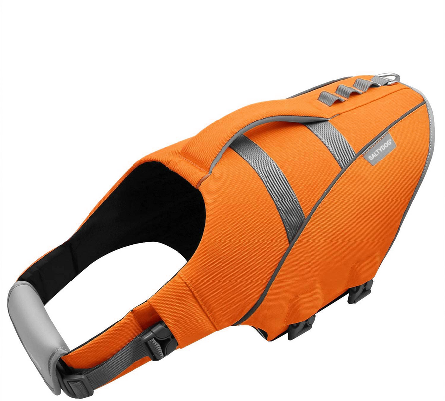 dog life jacket