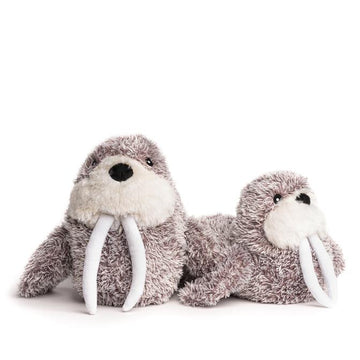 Fluffy Walrus
