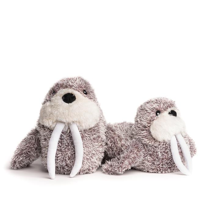 Fluffy Walrus