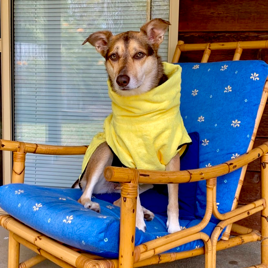 dog drying coat by saltydogs.com.au