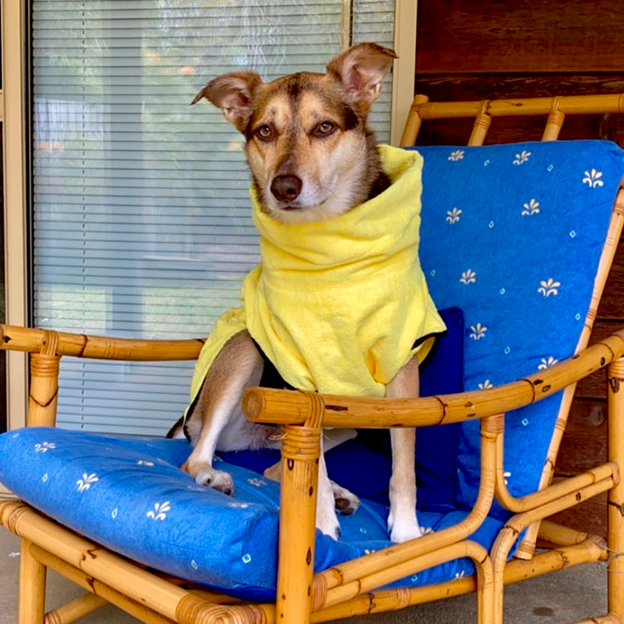 dog beach and bath drying robe towels